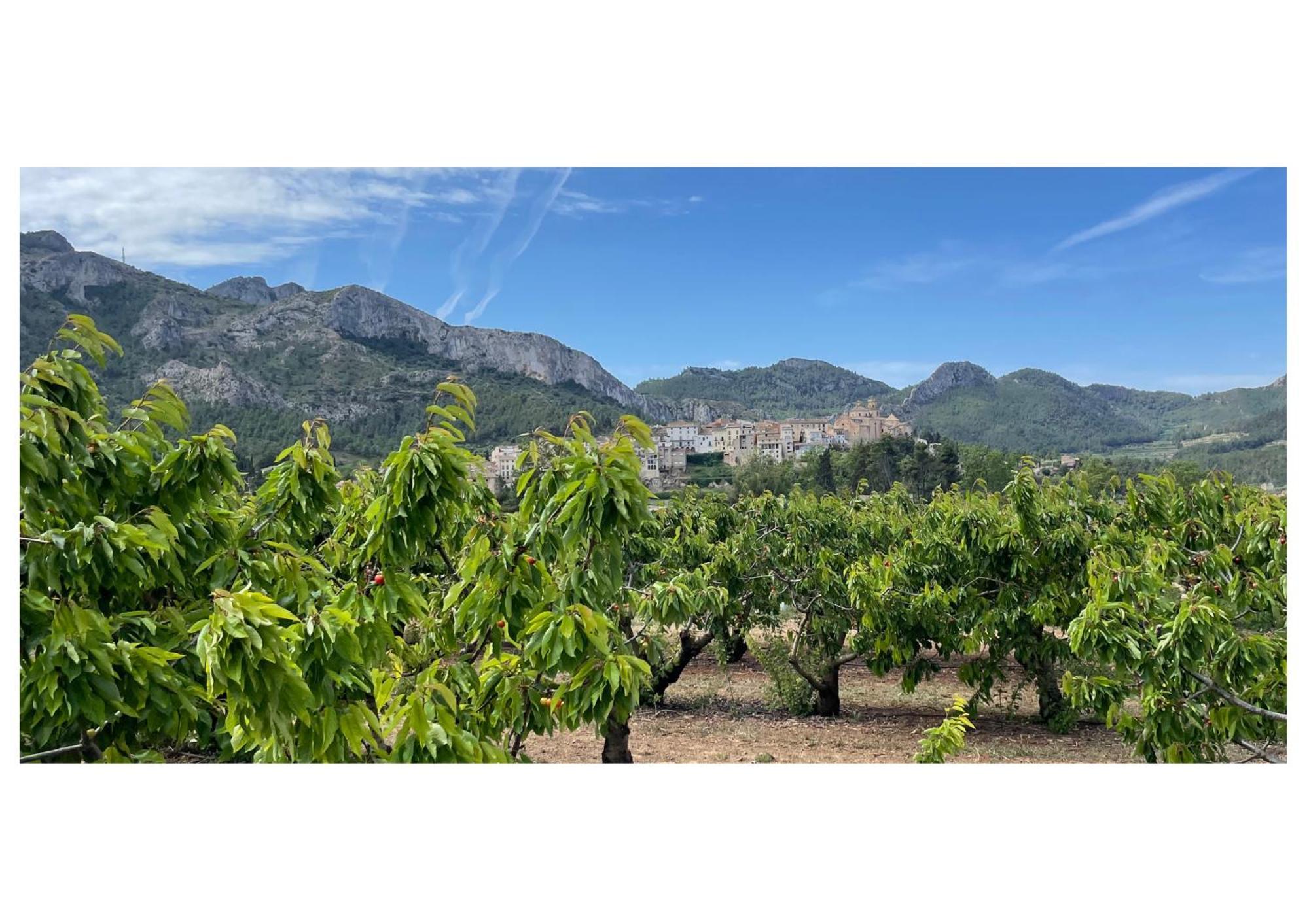 Apartmán Ca Blai De Brull En El Centro De Tivissa Exteriér fotografie